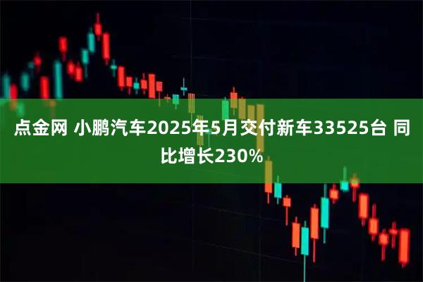 点金网 小鹏汽车2025年5月交付新车33525台 同比增长230%