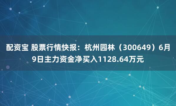 配资宝 股票行情快报：杭州园林（300649）6月9日主力资金净买入1128.64万元