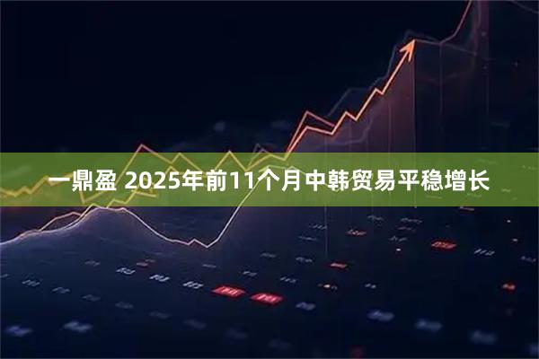 一鼎盈 2025年前11个月中韩贸易平稳增长